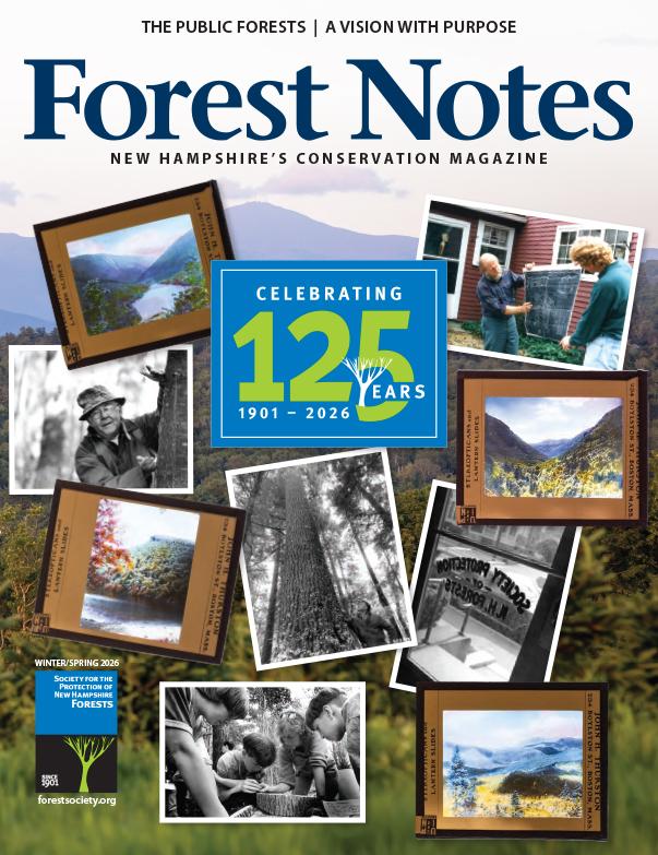 Forest Notes Winter/Spring 2026 cover