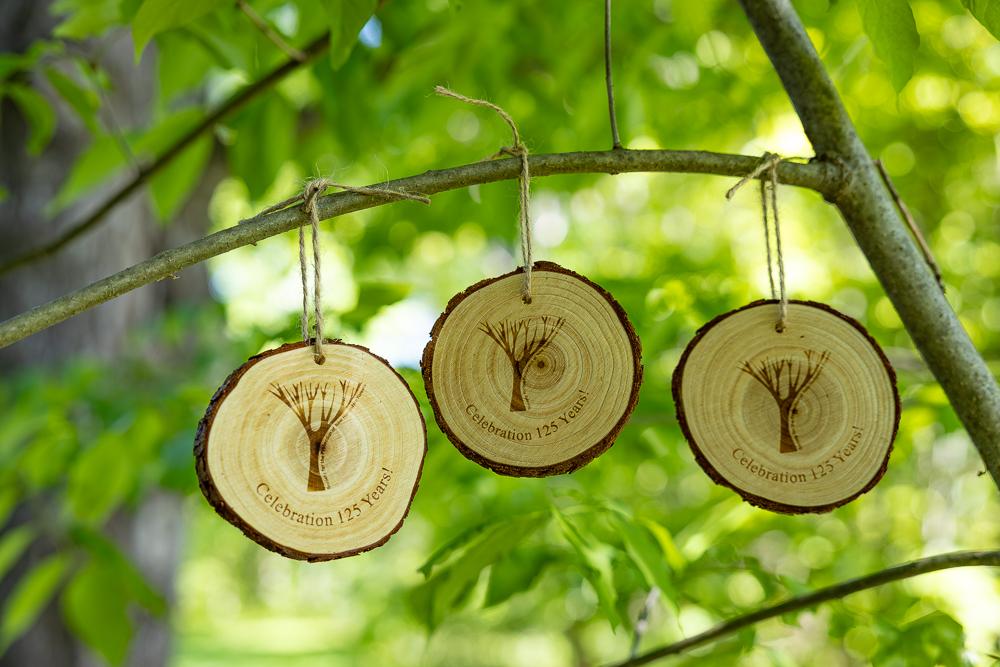 Five Hikes Challenge Tree Cookies