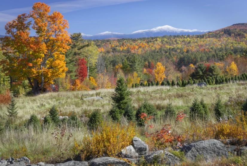 Fall at The Rocks