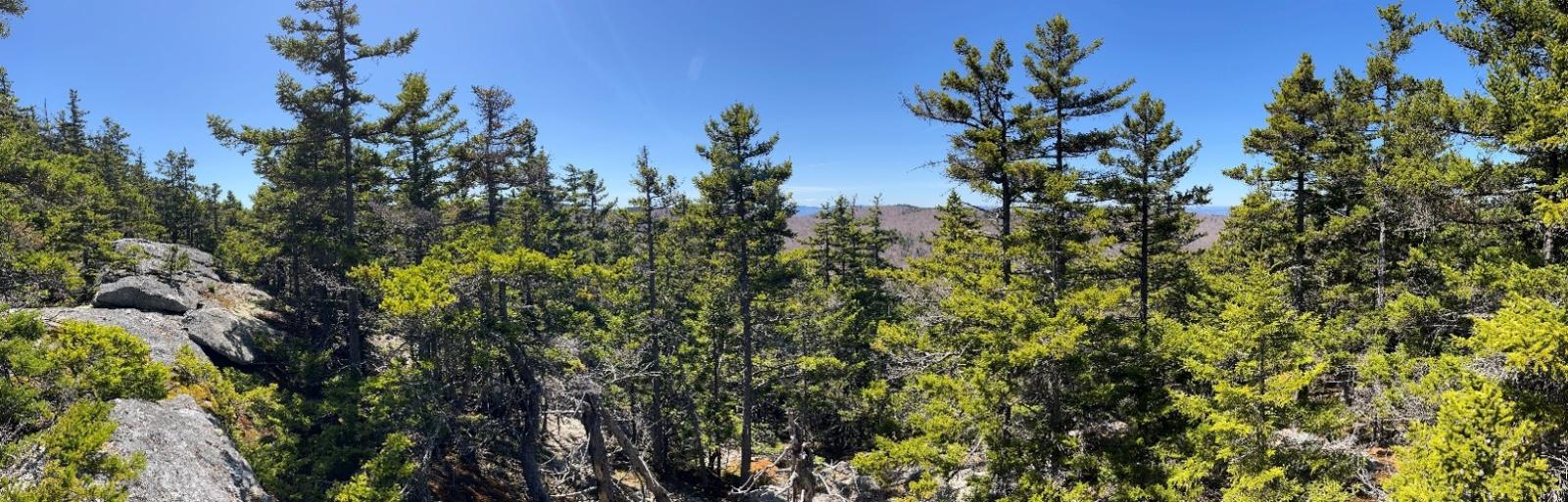 Pillsbury Ridge