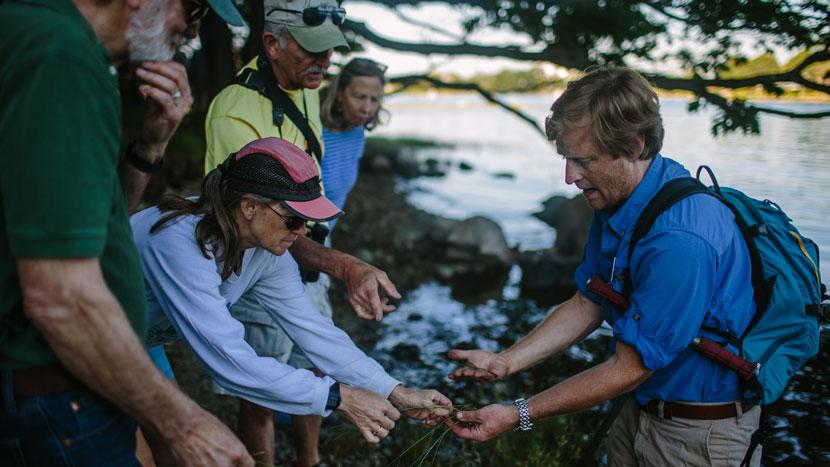Getting hands on with estuary botany