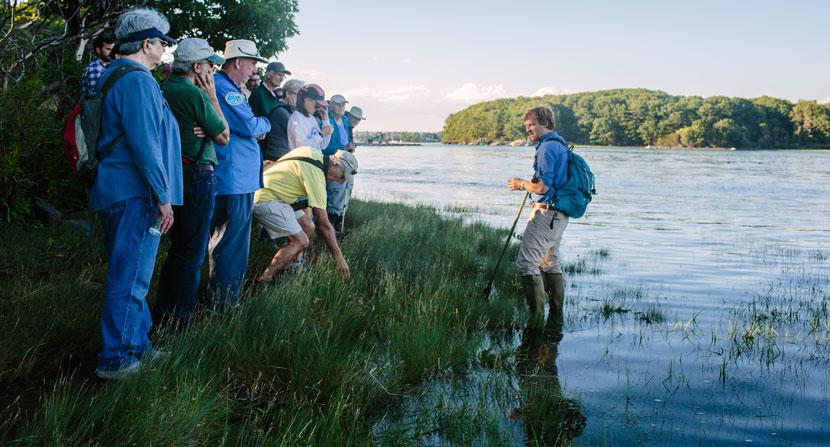 Participants learned why some plants can tolerate salt water and others can't