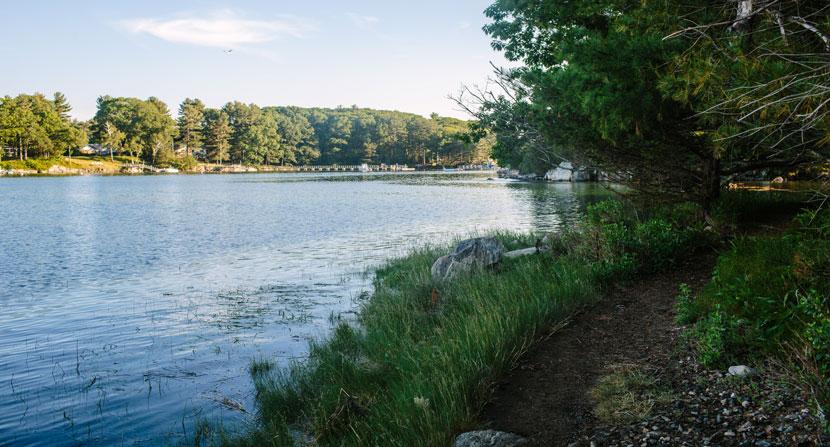 The view looking up tidal Sagamore Creek