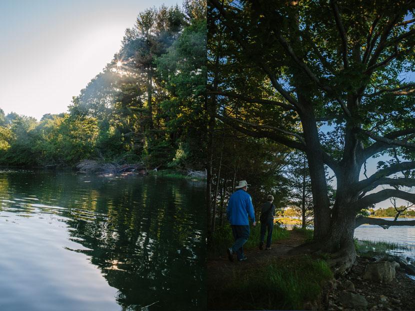 Evening walk along the tidal areas at Creek Farm