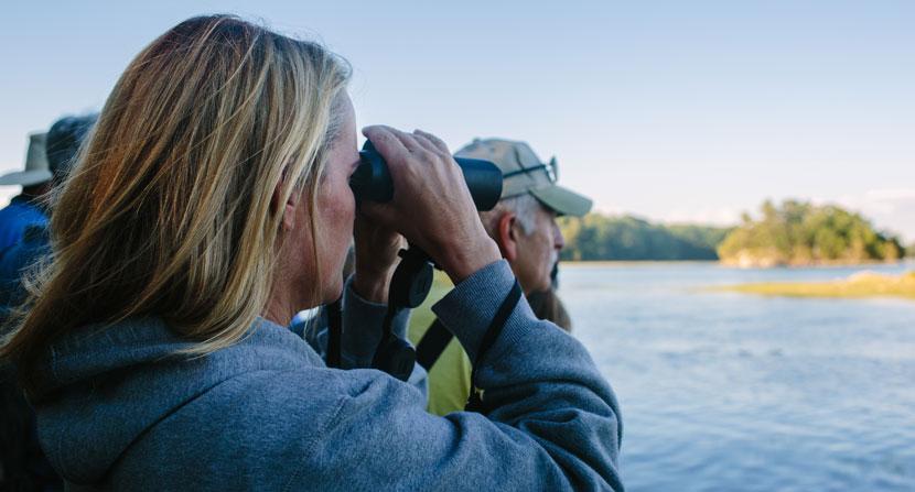 Don't miss the next Land, Air, and Sea series event: Seabirds with Dr. Jennifer Seavey on July 19