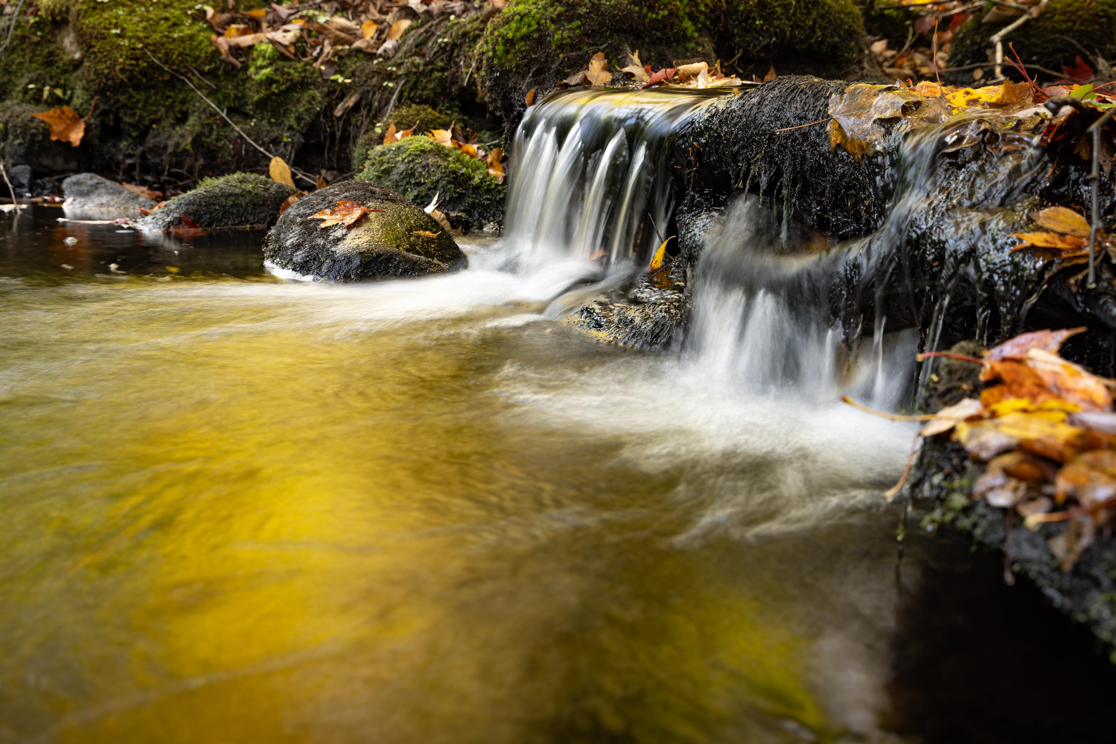 A waterfall flows in Deepwood Forest.