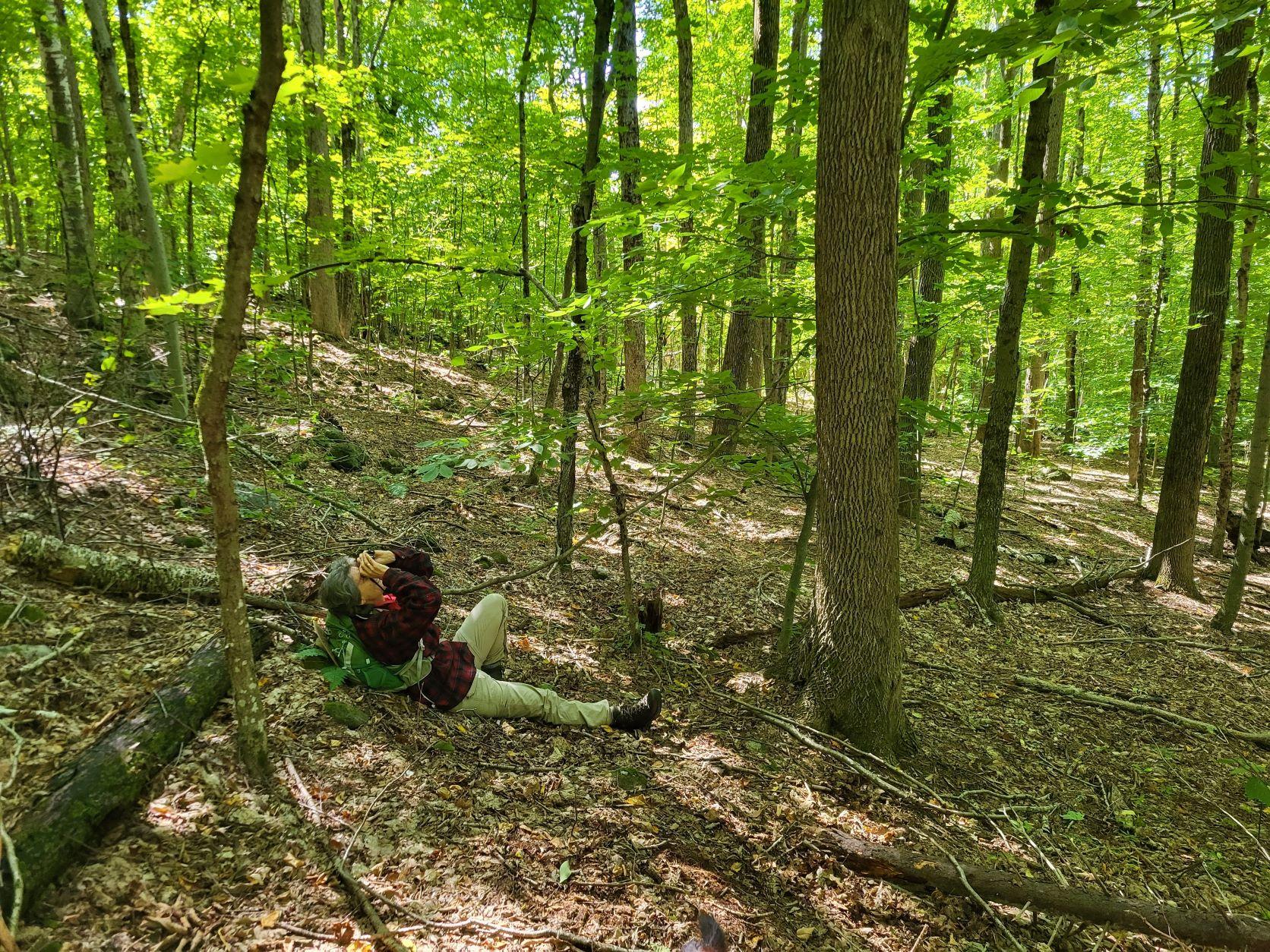 A forester looks up with binoculars.