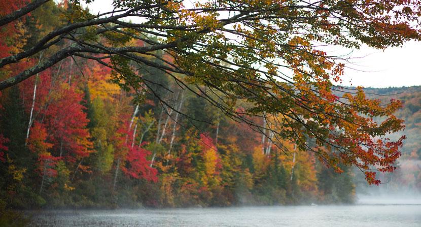 Morning fog rises in the cool morning air of autumn in the White Mountain National Forest
