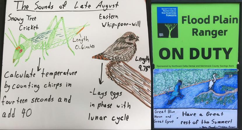 Interpretive signs help educate visitors about summertime flora and fauna at the Merrimack River Outdoor Education and Conservation Area