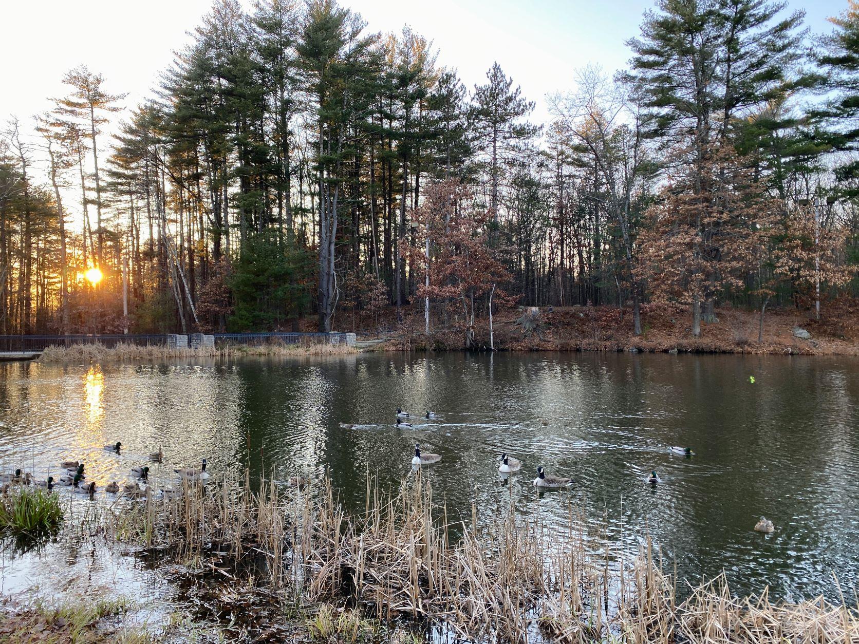 The sun sets behind Doors Pond in the early afternoon on a December day.