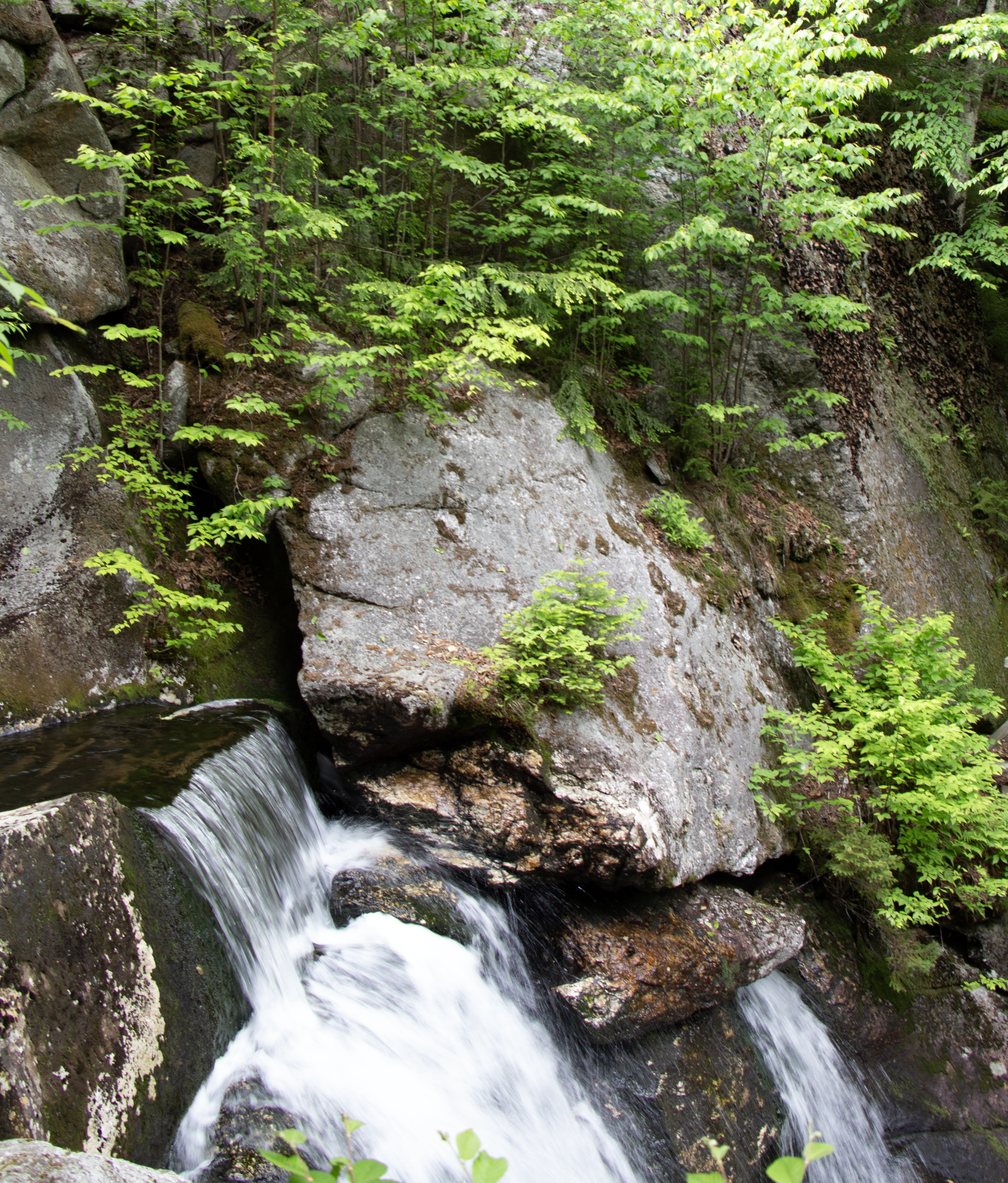 A waterfall at Lost River Gorge.