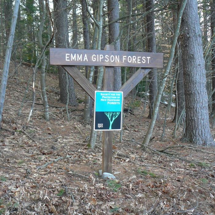 Wooden Gipson Forest property sign