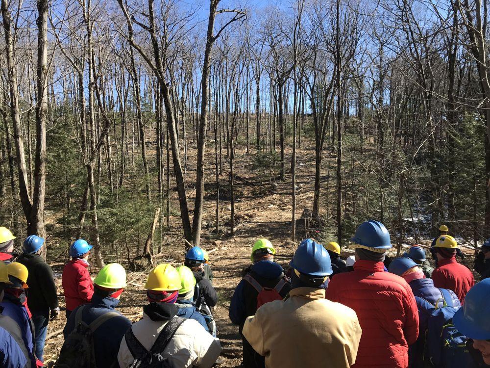 Timber Harvest Tour 2-9-19 at Heald.