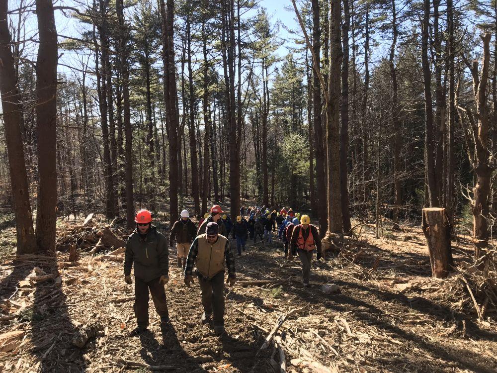 2-9-19 Heald Timber Harvest Tour