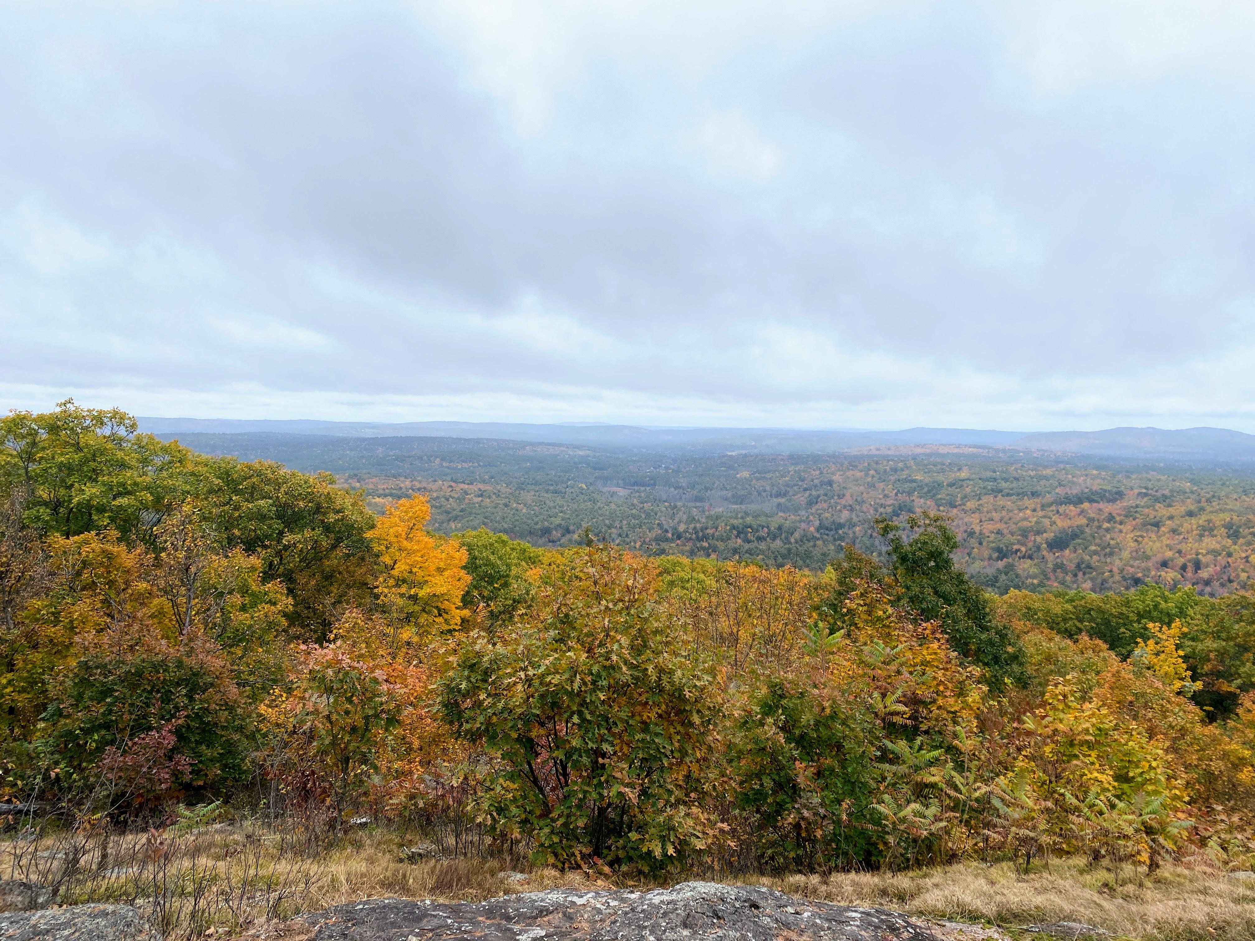 Fall colors as seen from Moose Mountains.