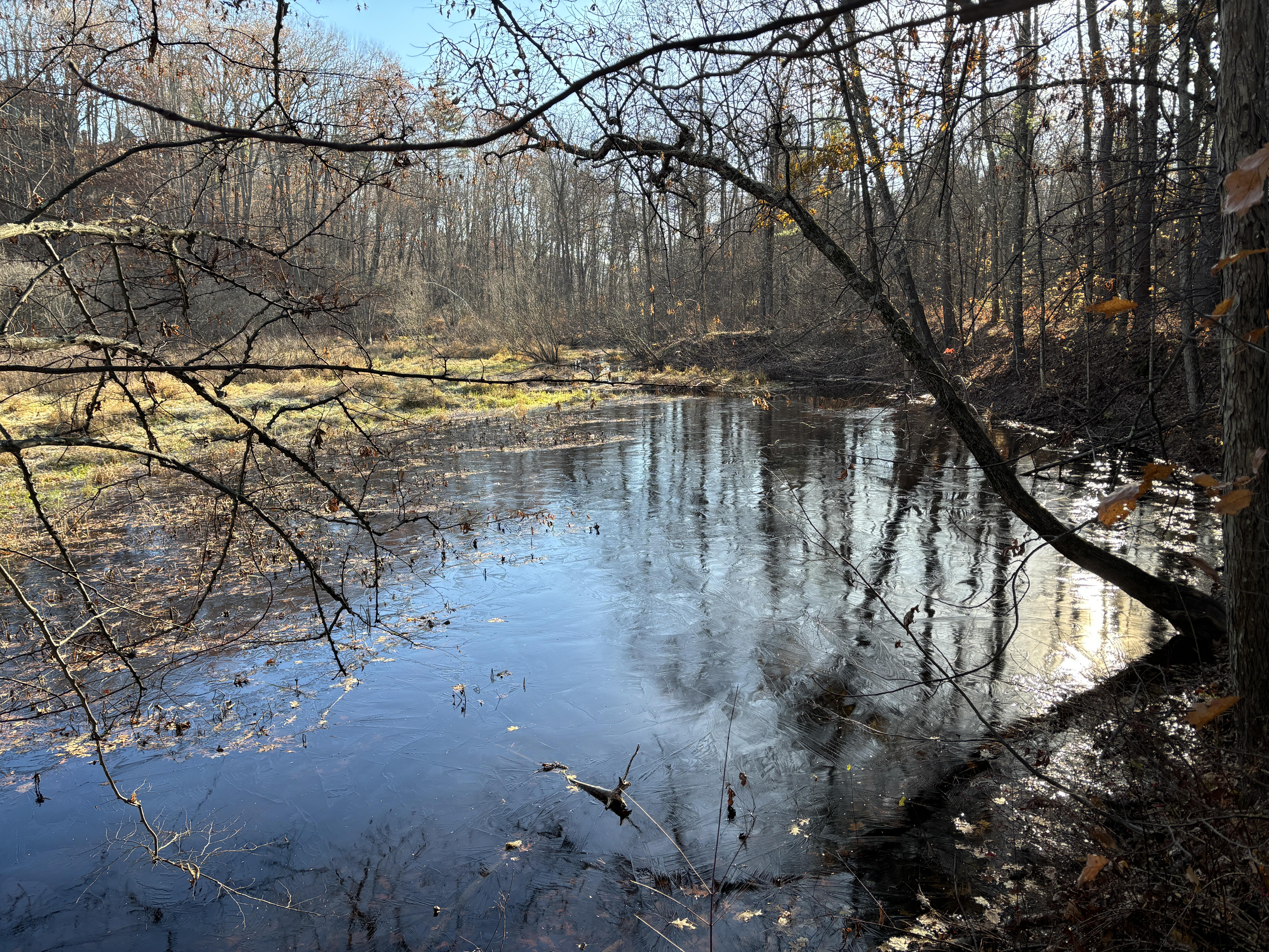 Frozen waters on the floodplain.