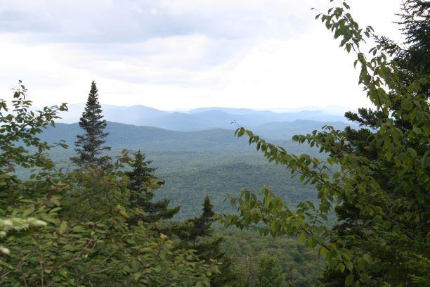 green trees and forest surrounding parted view of foggy distant green mountains