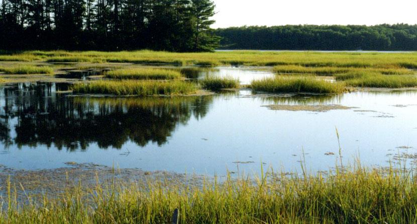 Great Bay National Wildlife Refuge