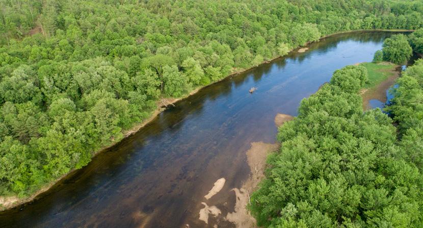 Stillhouse Forest features several exemplary natural communities including significant riverine floodplain forest, numerous vernal pools, oxbows and river bluff communities.