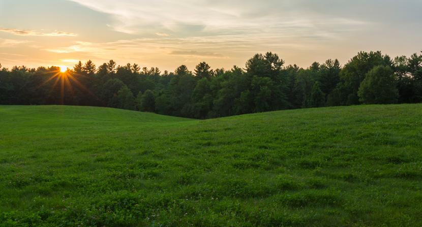 Sunset behind trees and an open field at Powder Major's Forest in Durham, Madbury, and Lee, New Hampshire