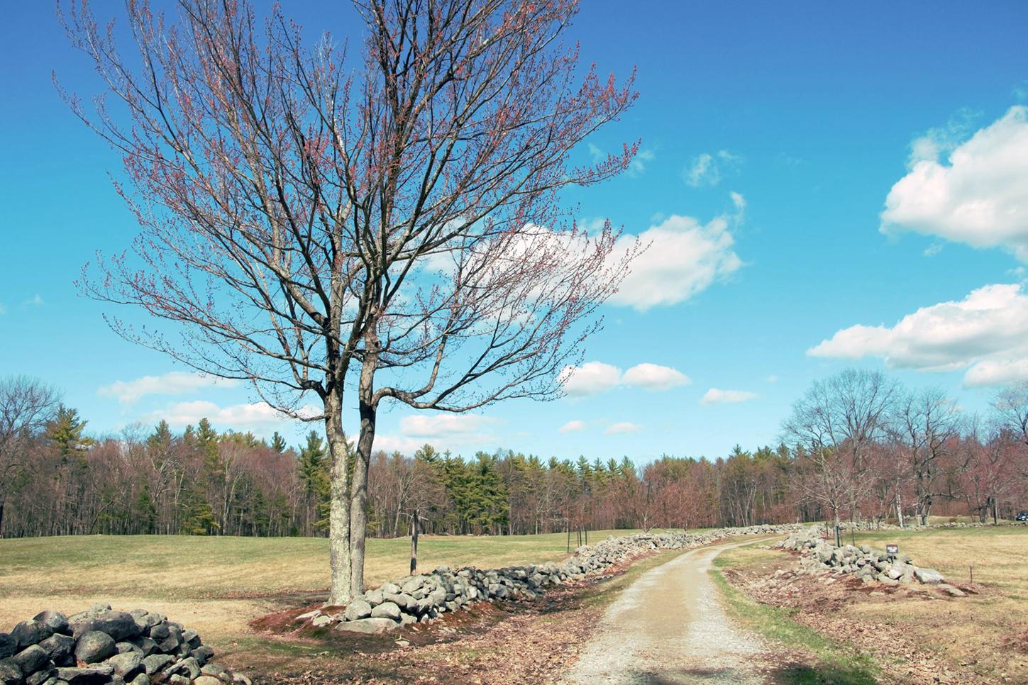 A view of the dirt road winding by a stone wall at Monson Center in spring.