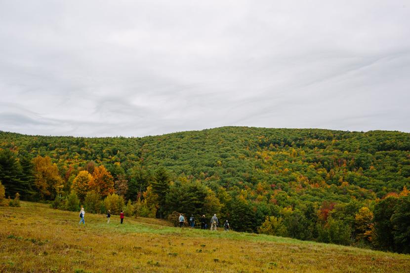 Fields, forests, and foliage on the Burrows Farm Trail at Moose Mountains Reservation in Middleton, NH.