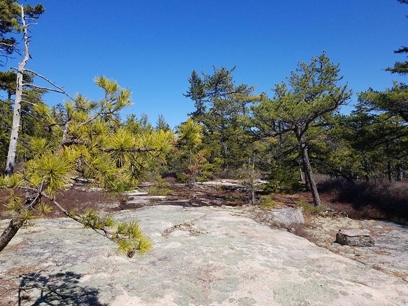 A view of a rocky hill in Middleton.