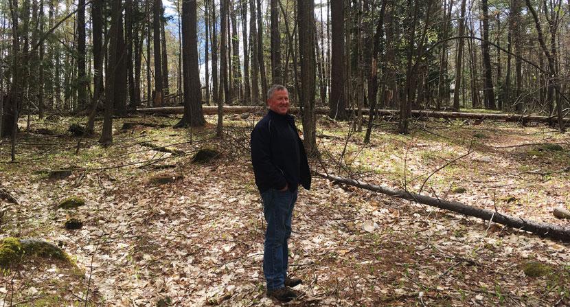 Mike Morison standing in his woods
