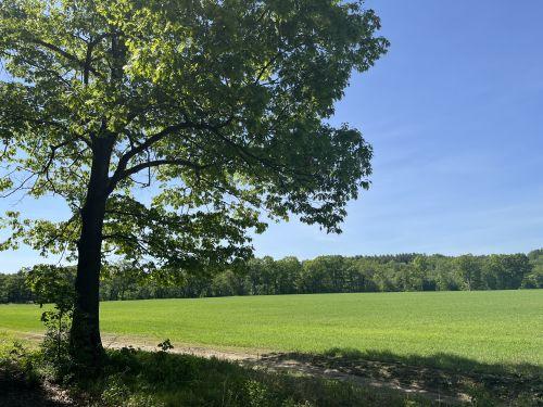Morrill Farm pictured in summer.