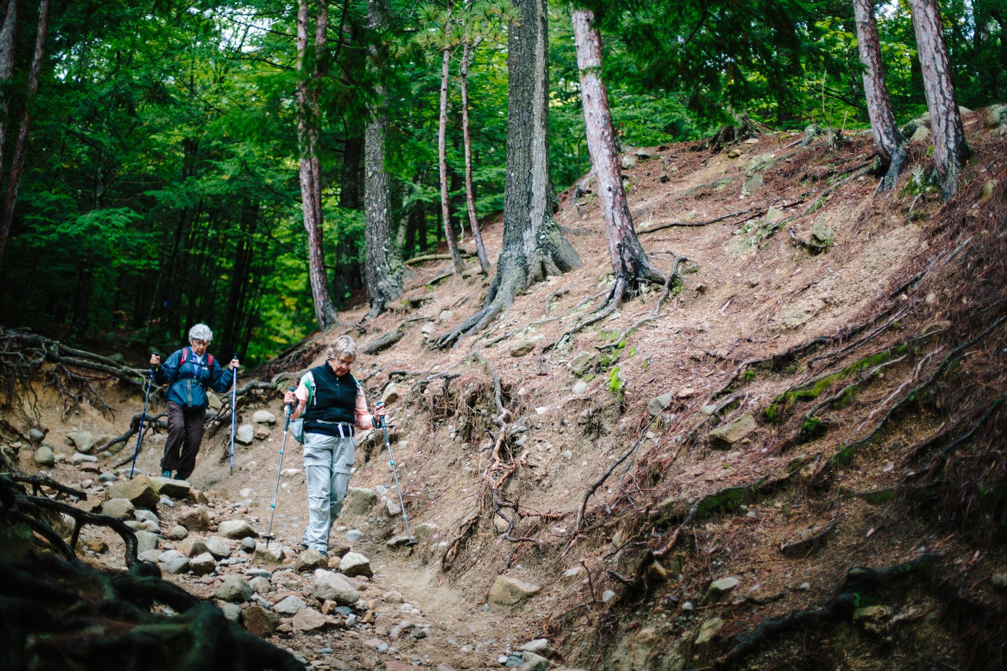 Erosion issues on the trails at Mount Major
