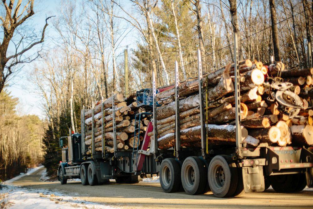 Log truck. Photo EL
