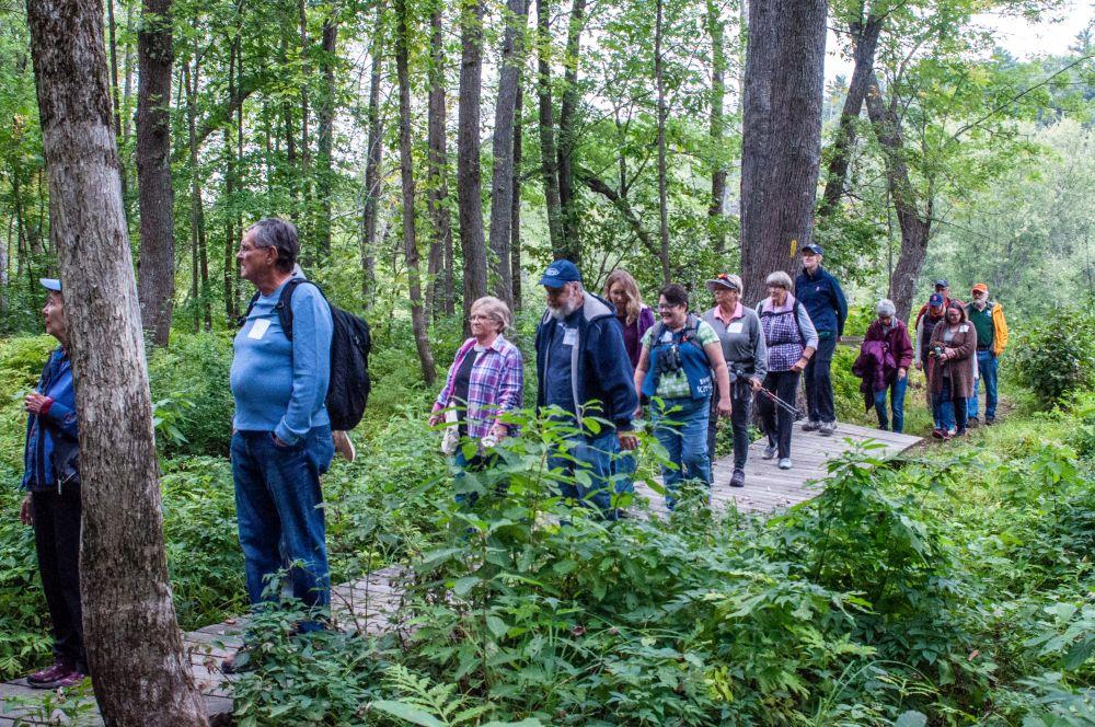 Group of colorful hikers proceed along asandy trail beneath Silver Maples in the floodplain forest at the Concord NH Merrimack River floodplain forest
