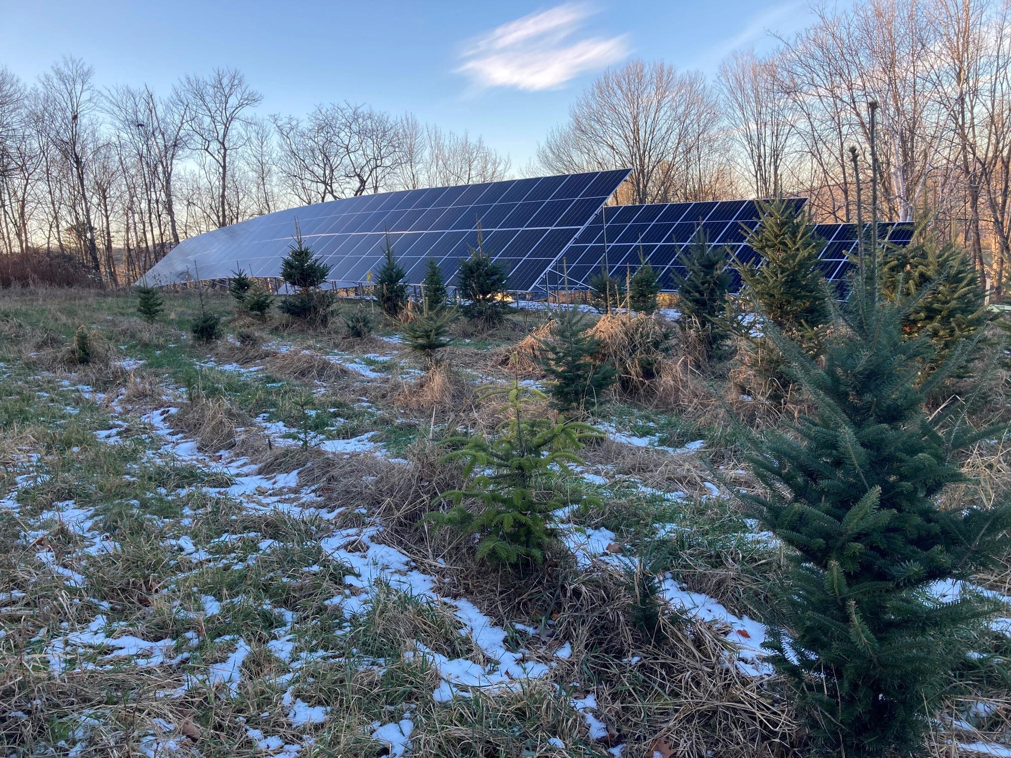 The solar array at The Rocks.