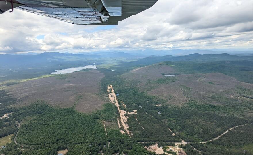 An aerial view of the spongy moth defoliation shows some green trees against the backdrop of mountains with an expanse of brown trees.