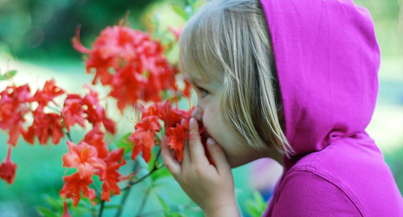A young girl smells spring blooms
