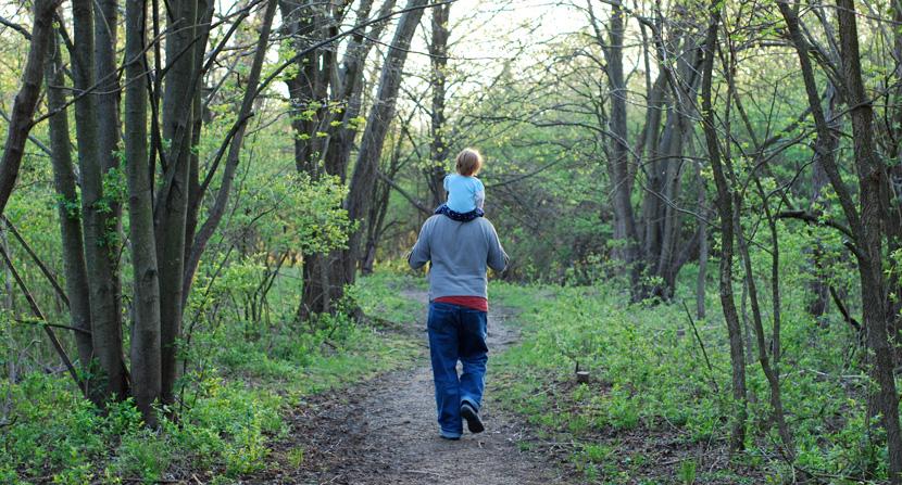 Spring time walks are a delight for the senses