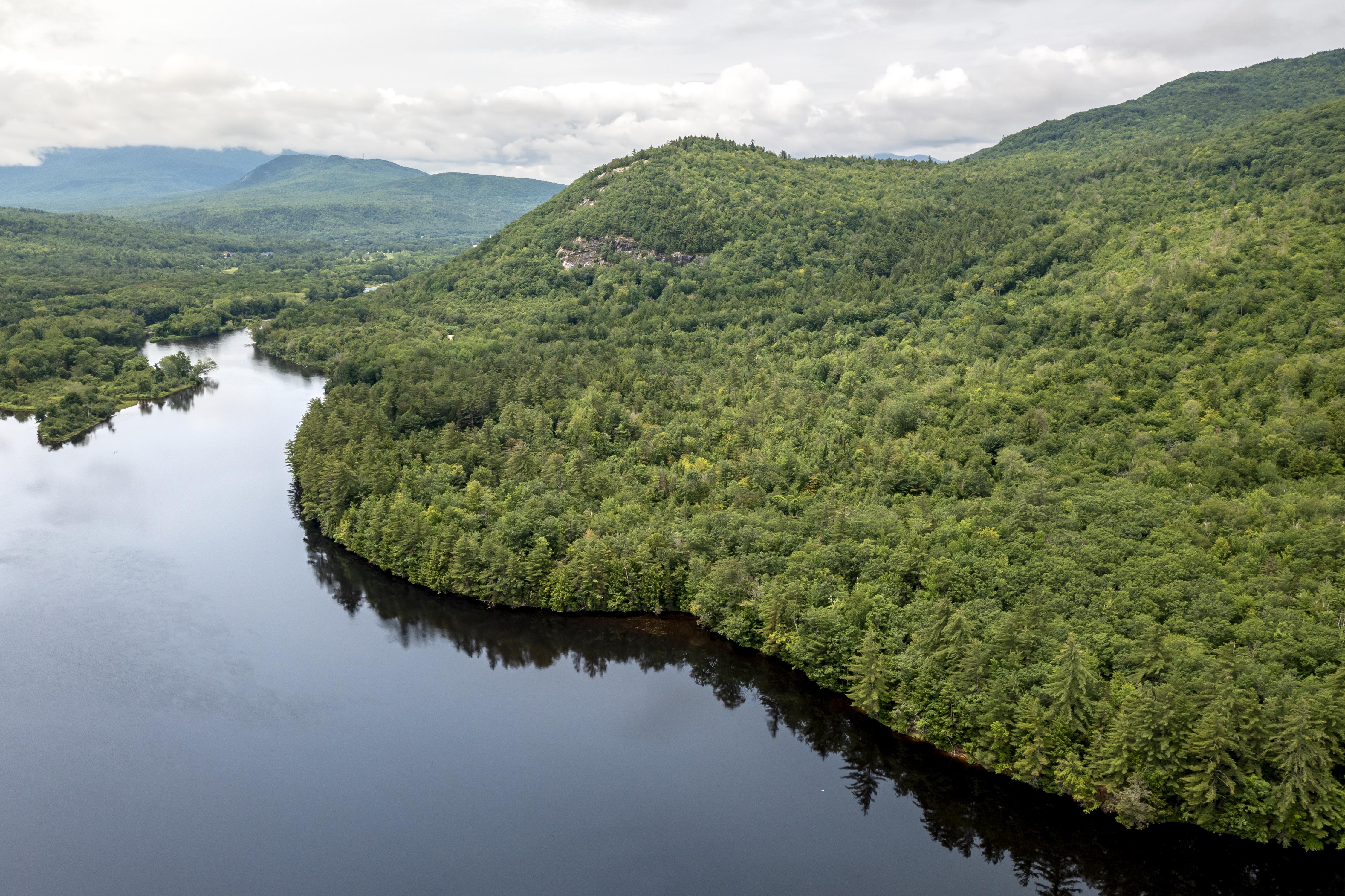 A view from above of Shelburne Forest.