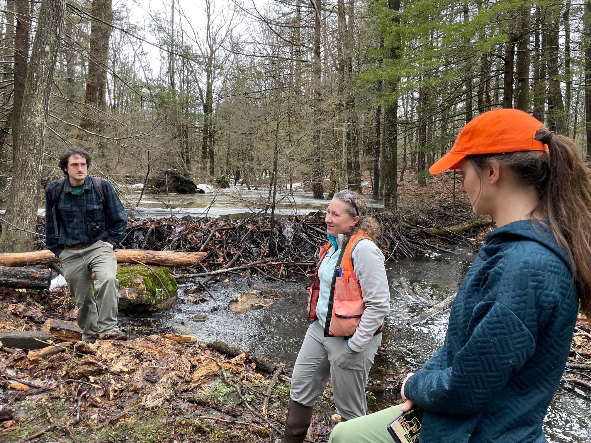 Managing Forester Wendy Weisiger and field forester Gabe Roxby on a timber harvest tour.