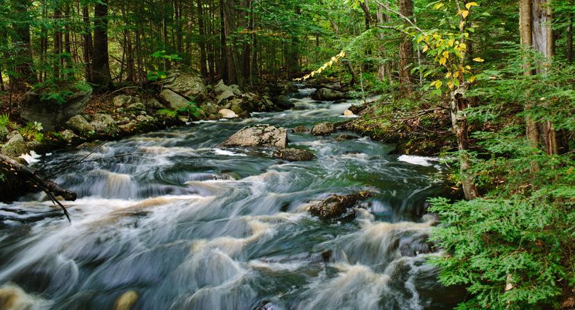 A rushing stream at Tower Hill Pond in Auburn, NH