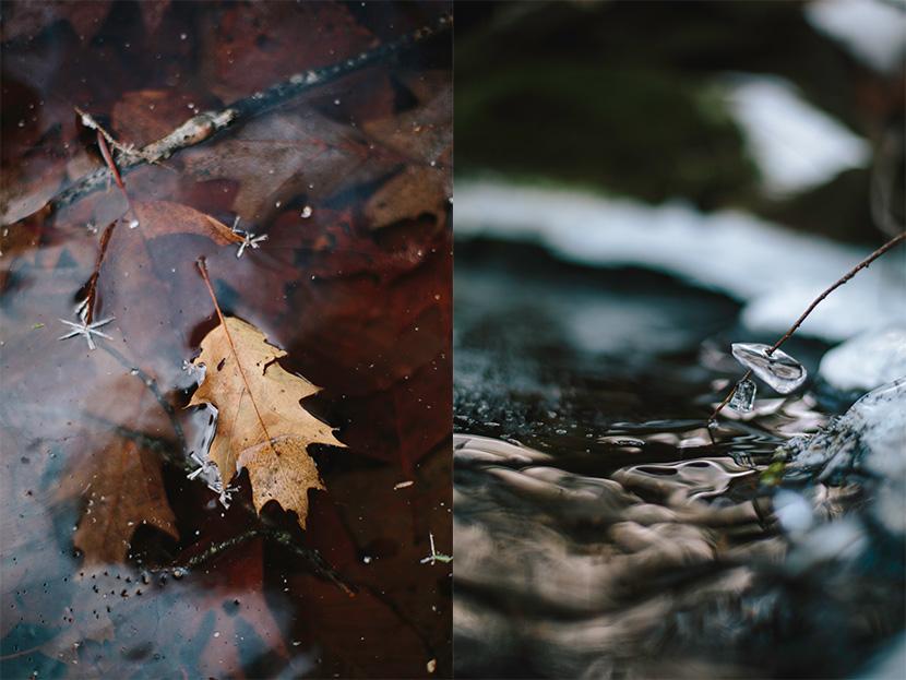 Oak leaf frozen in clear ice and tiny frozen tutus around sticks in a stream.