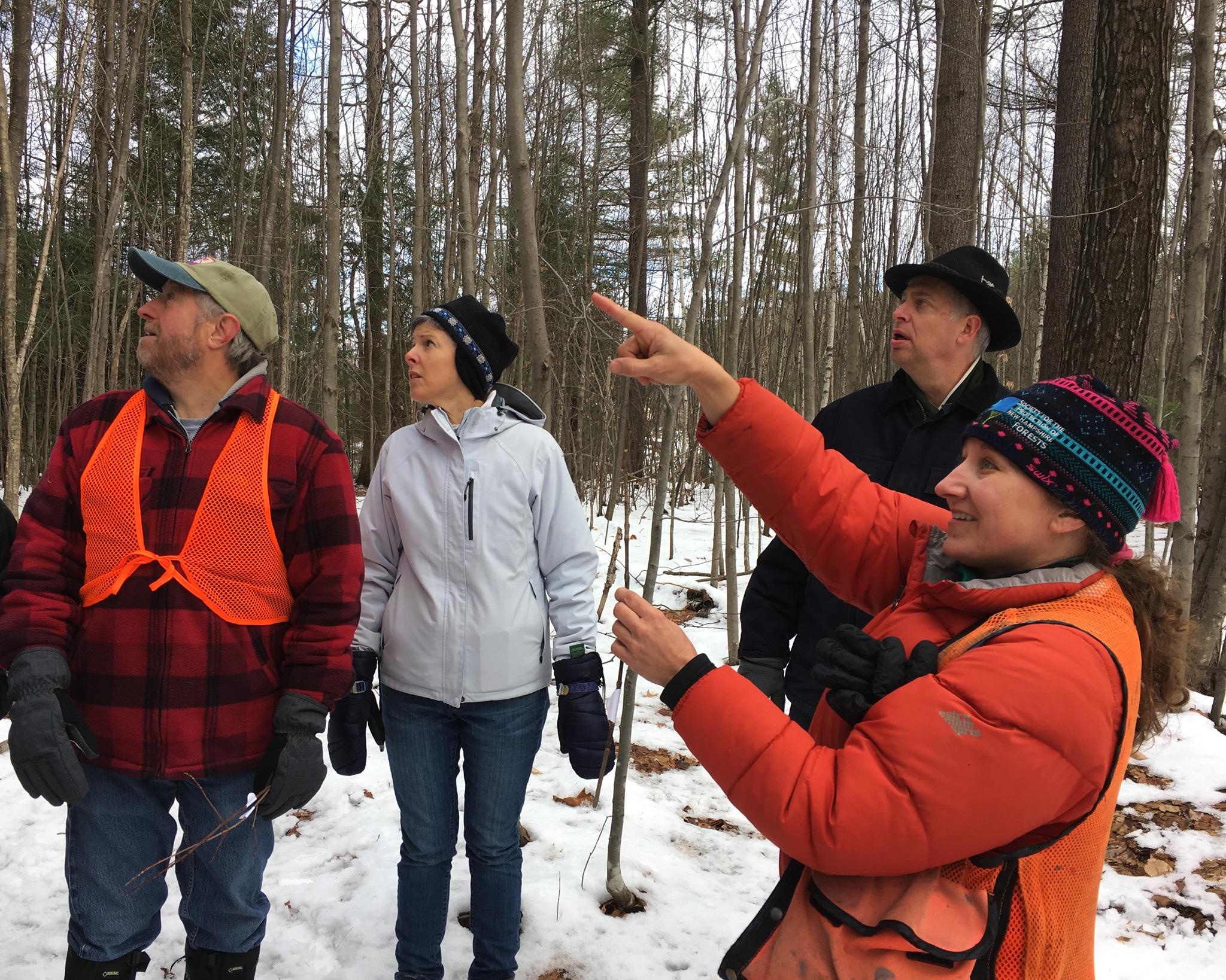 Wendy Weisiger teaching tree ID at the BelaBrookConservationArea in Dunbarton