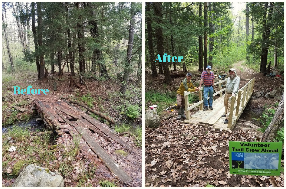 powder major forest volunteers