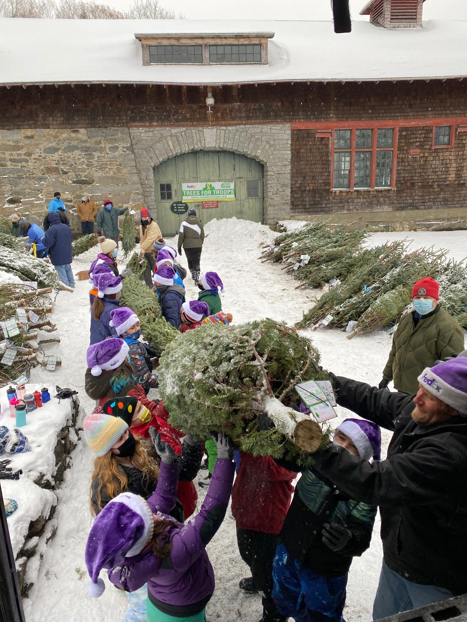 Bethlehem Elementary fifth-graders help load the trees into a FedEx truck.