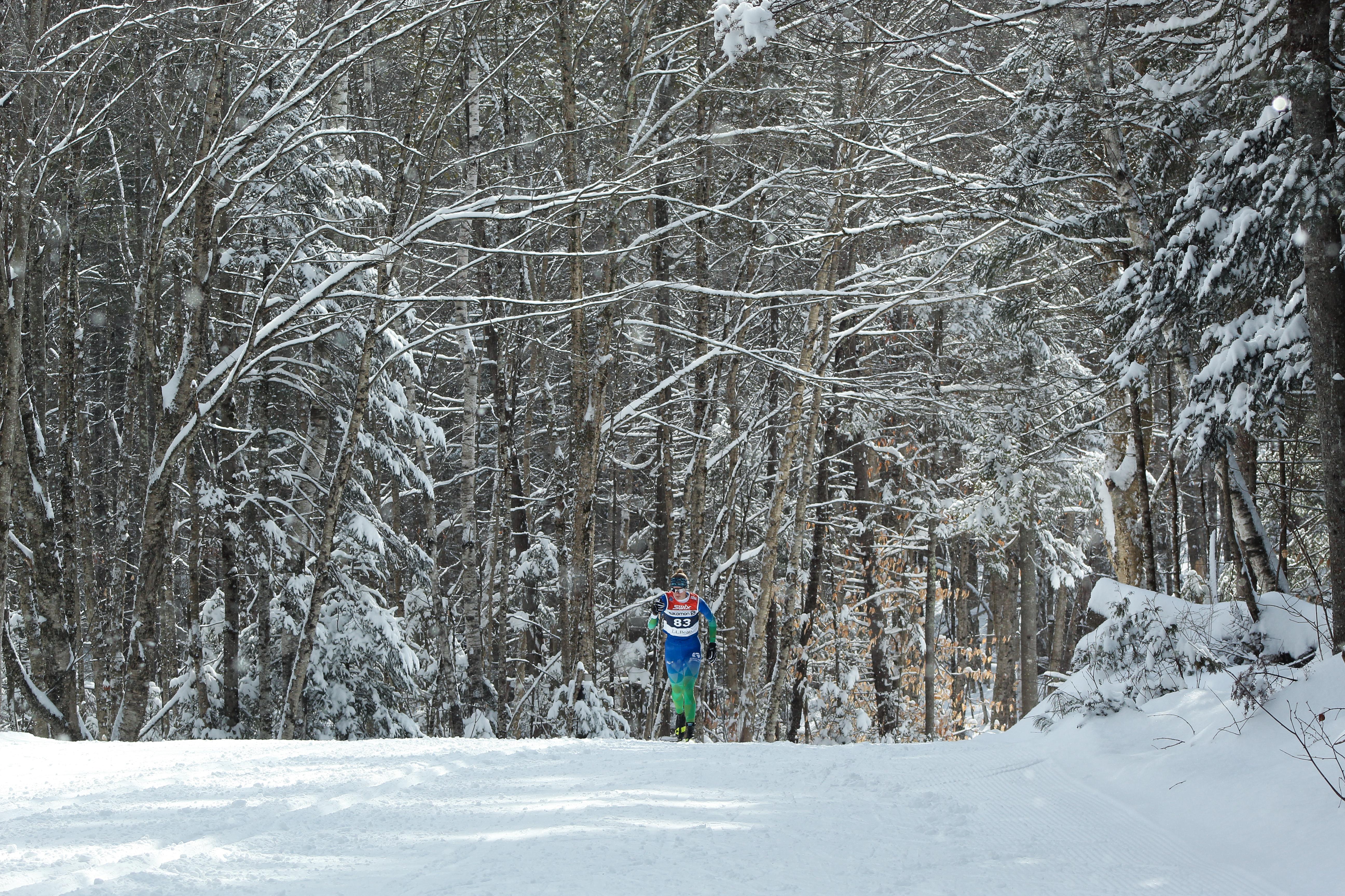 A ski racer comes over the hill on a snowy trail