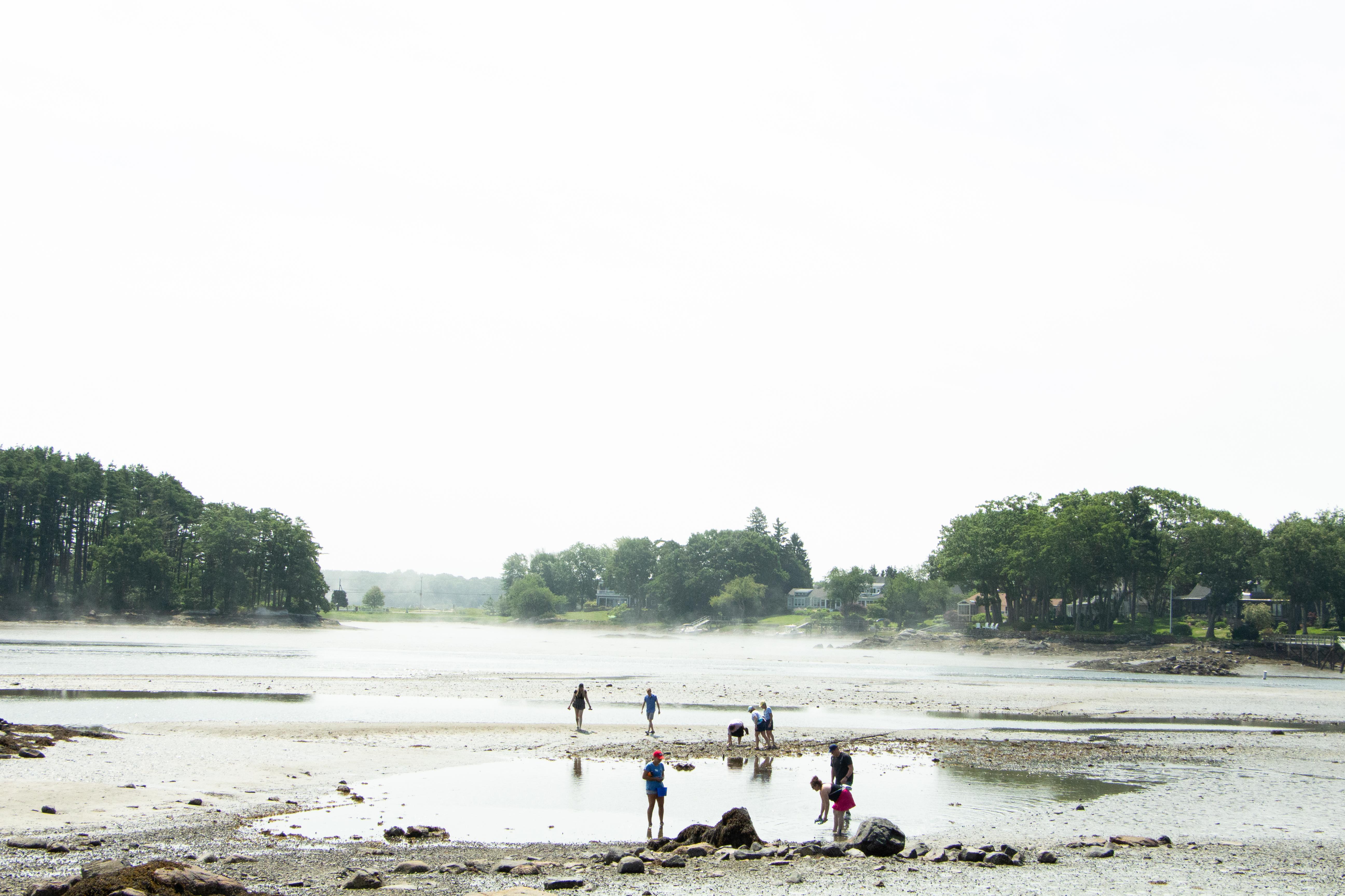 A group of people play in the waters of an ocean inlet.