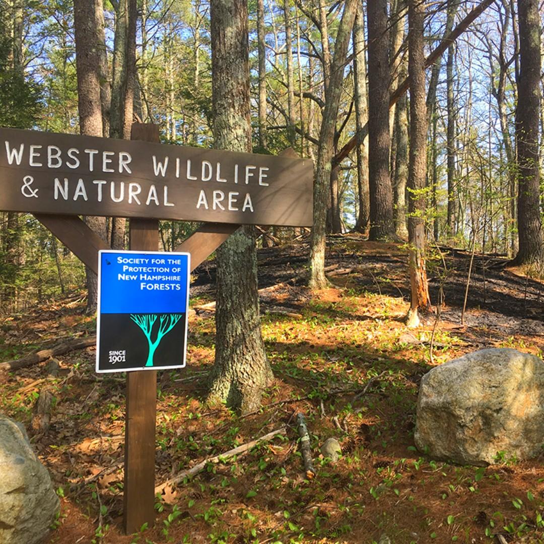 Although it is difficult to see with the shadows, the brush fire came quite close to the entrance sign at Webster Wildlife & Natural Area.