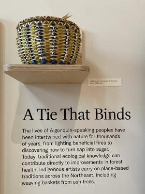 A handwoven basket made by Amanda Ennis is on display.