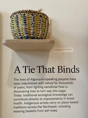 A handwoven basket made by Amanda Ennis is on display.