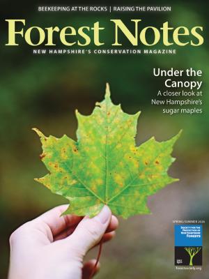 Forest Notes, Spring/Summer 2026 Cover