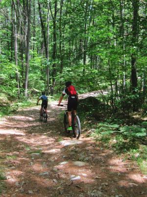 Miles of trails offer recreational opportunities for Manchester area residents